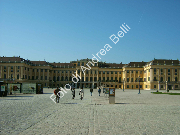 B_img00078