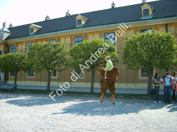 B_img00082